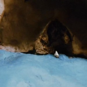 Prometheus' Garden (1987, 29min) Streaming for Family Members on Eternal.tv & Apps in North America. https://eternal.tv/programs/prometheus-garden Directed by Bruce Bickford. Inspired by the Greek myth of Prometheus, a Titan who created the first mortals from clay and stole fire from the gods, Prometheus’ Garden immerses viewers in a cinematic universe unlike any other. Presented with the Bruce Bickford Estate. | Eternal Family