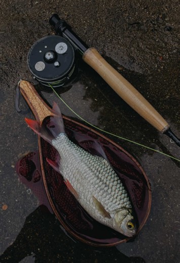 Exploring Seblak Gobik: A Street Food Delight