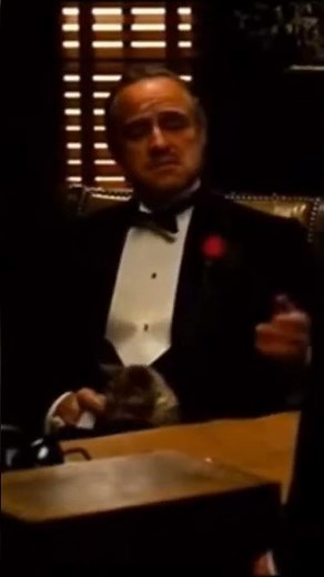 Don Corleone dame justicia #elpadrino #doncorleone