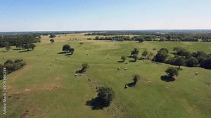 Drone footage of hay bales in a rural Oklahoma pasture
