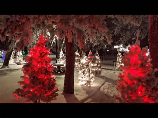 CN Park looking unreal thanks to the local Rotary and hoar frost 🤩#dauphinrailmuseum #birthplaceofcanadiannorthernrailway #manitobaheritagesite #manitobasmostbeautiful #hoarfrost | Dauphin Rail Museum