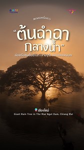 เมื่อคุณนั่งเครื่องบินไปเชียงใหม่ เเละตื่นตี 4 ขับรถไป 1.30 ชม เเละนั่งเรือต่ออีก 40 นาทีเพื่อมาเจอสิ่งนี้ 🌳🏞️ . ต้นฉำฉาใหญ่ยืนเด่นกลางผืนน้ำ รายล้อมด้วยภูเขาและสายหมอก เขื่อนแม่งัด จ.เชียงใหม่ อีกหนึ่งแลนด์มาร์กที่สายถ่ายรูปต้องปักหมุด! . 📍การเดินทางและค่าใช้จ่าย 1. ท่าเรือฝั่งอุทยาน (เขื่อนแม่งัดฯ) ใช้เวลาประมาณ 40 นาที - 1 ชั่วโมง - ค่าเรือเริ่มต้น 1,200-2,500 บาท - มีทั้งเรือลำเล็กจุได้ 3 ท่าน กับเรือลำใหญ่จุได้ 8 ท่าน 2. ท่าเรือฝั่งอำเภอพร้าว ใช้เวลาประมาณ 10-15 นาที - ค่าเรือเริ่มต้น 70