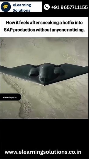 SAP Hotfix Meme – Sneaking Changes Into Production 😂