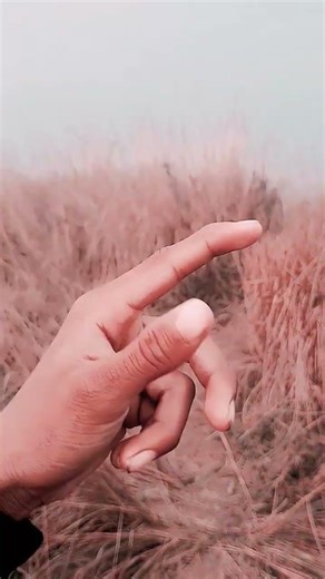 aise najriya Na Mila vah hamare Ho jaibu training short video♥️♥️