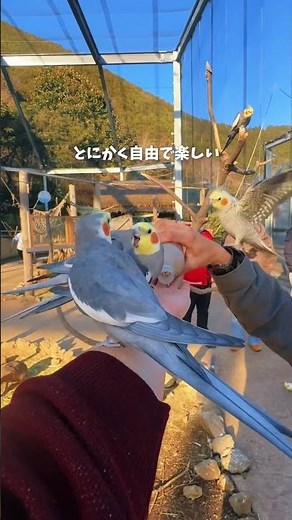 #静岡 夏休みおすすめスポット15選 その１