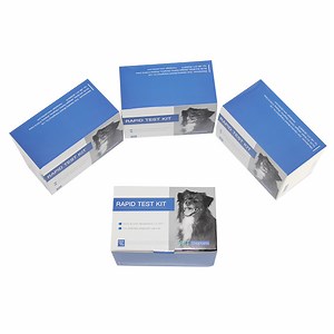 [Hot Item] Canine Pregnancy Relaxin Rapid Test Pregnancy Symptoms