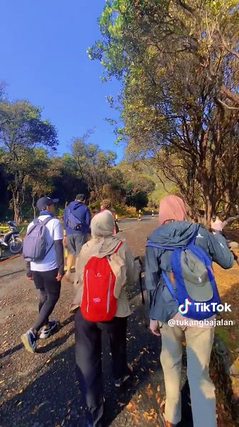 One Day Trip Papandayan: Ultimate Guide for Adventurers