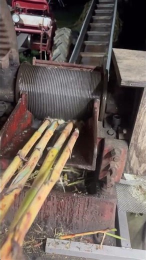 This is the process of extracting sugar cane juice #shorts