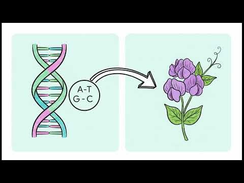 PA Biology Keystone Mod 2