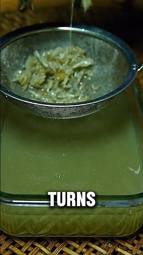 How Fish Scale Jelly Is Made