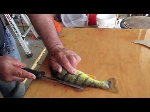 How to clean a Perch with no waste