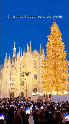 Most Magical Christmas Trees Around the World 🎄