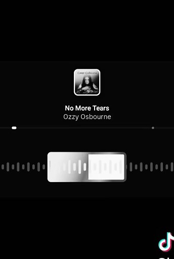 No More Tears - Ozzy Osborne #lyrics #ozzy #rock #fy