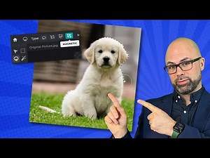 How to Use the MAGNETIC LASSO in PIXLR