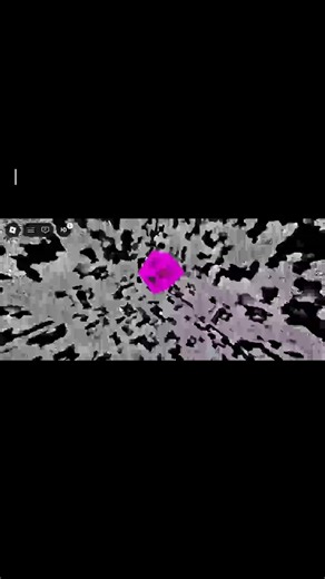 Launch Experience in the Ecolayer and Mosaicbox