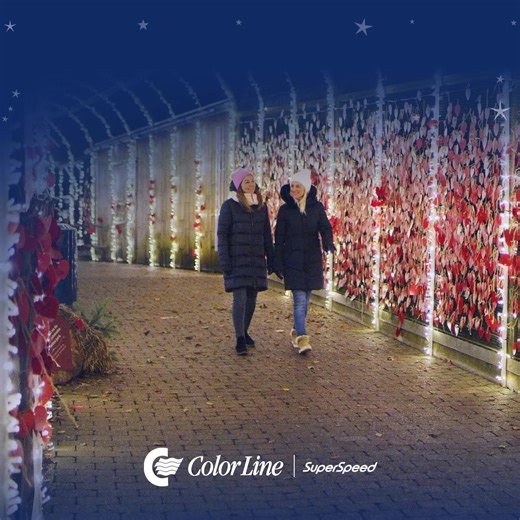 1.4K views · 123 reactions | Bo på hotell, opplev idylliske brosteinsgater, spennende butikker, gode spisesteder og herlig førjulsstemning. | Color Line | Facebook