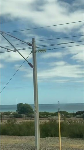 Train trip to Fremantle 😎