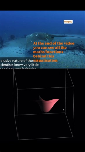 🫶🏼Using math functions to visualize some natural things😌#jeeadvanced#mathvisualization#maths#jee