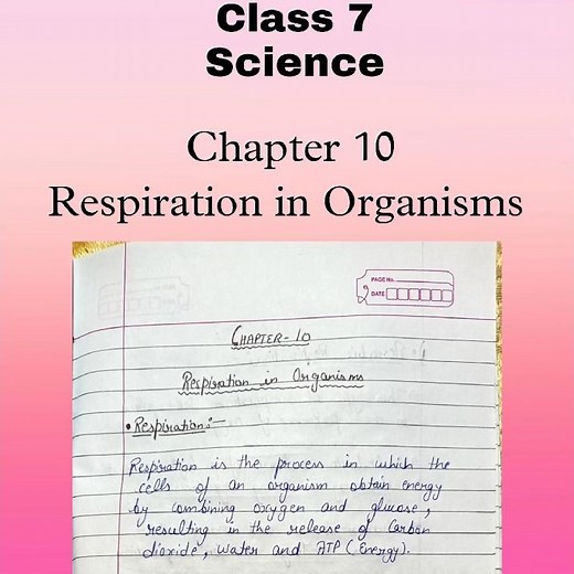 Class 7 Science Chapter 10 Respiration in Organisms Notes