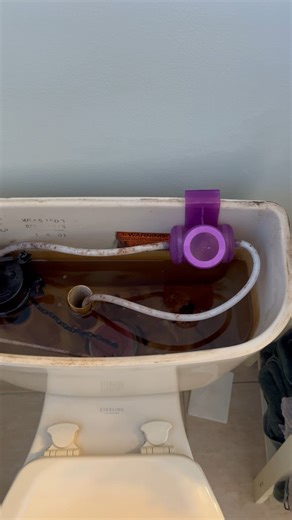 Watch Great continuous toilet bowl cleaner. on Amazon Live