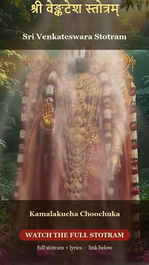 🙏 Sri Venkateswara Stotram — Kamalakucha Choochuka | Tirupati Balaji 🙏Venkateswara Short 2