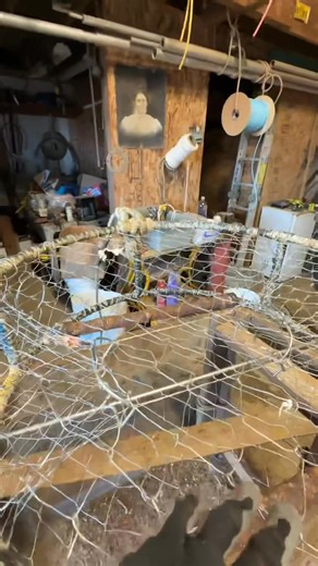 How a Dungeness crab pots works. #crabber #crab #seafood #crabpot #commercialfishing #gearwork #oregon #washington #highliner | Justin Boulter