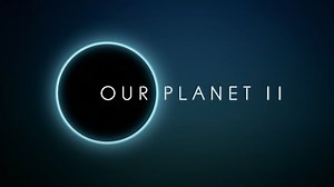 Netflix drops first trailer for Our Planet 2 with most brutal scenes yet