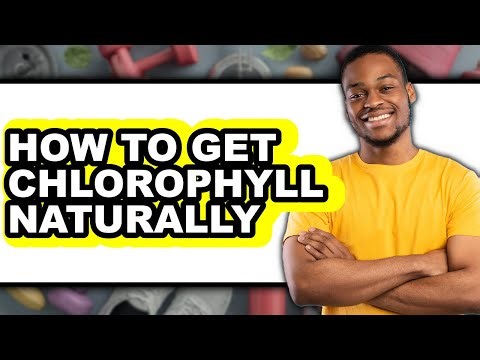 How to Get Chlorophyll Naturally - Easy Guide
