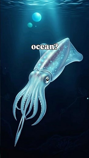 How Do Squids Move around?