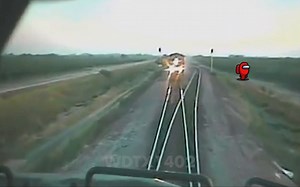 ANOTHER MINUTE OF DANK RAILFAN MEMES (2018)