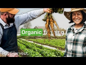 The Growth of Organic Farming in Australia