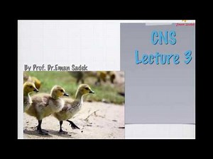 Lecture 3 CNS 2017