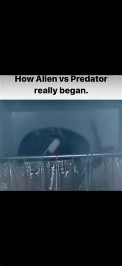 #predator #alienvspredatoredit #xenomorph #fyp | xenomorph edit