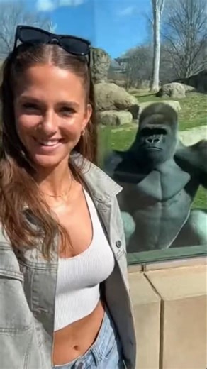 Funny moments in zoo #funny #zoolife #animals #comedy #zoo #shorts #zooculture #animalfriends