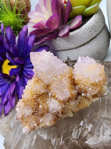 Amethyst Spirit Quartz Crystal Cluster Specimen From South Africa - Etsy