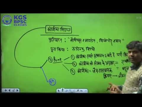 Cell division lecture 2