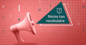 Révise ton vocabulaire (CE1, CE2)