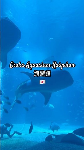 🇯🇵 Osaka Aquarium Kaiyukan 海遊館