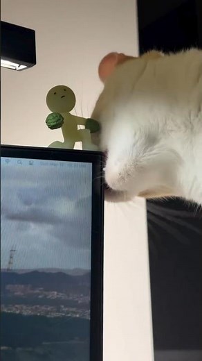 😹 Naughty Cat vs Computer Monitor 🖥️🐾 | Why Is He Biting It?! #shorts