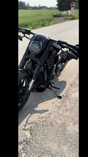 Exploring the Harley Davidson Night Rod V-Rod Custom