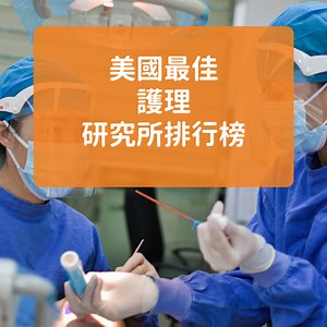 2024 US News 美國最佳護理研究所及大學排行榜 BS Nursing