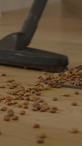 We’ve seen it all—yes, even the kibble explosion around the food bowl. 🐾 At Molly Maid®, we clean, we don’t judge. Because life happens, and we’re here to make it spotless again. Schedule your stress-free clean today at mollymaid.com. #MollyMaid #Neighborly #PetFriendlyClean #WeCleanWeDontJudge | Molly Maid