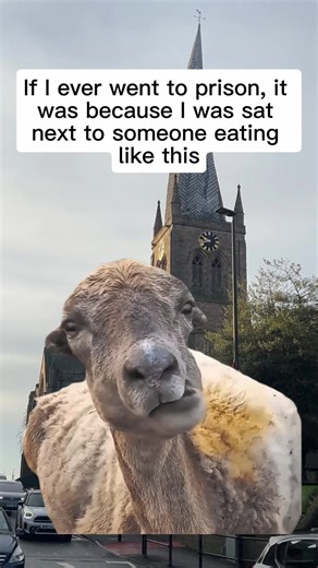 Noisy Eating: When Food Habits Trigger Disgust