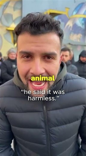 they spray painted him like a zebra🥺#shorts