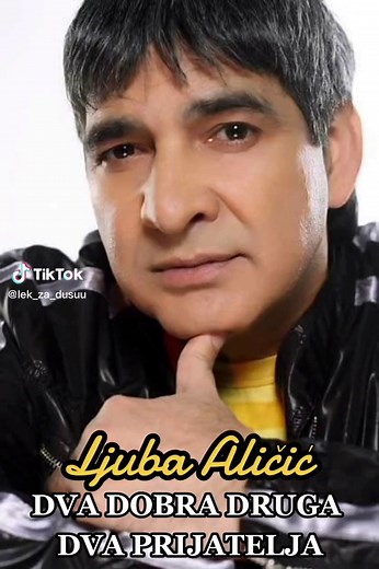 #ljubaalicic #drugari #friends #narodnamuzika #music #song #foryoupage #fyp #fpyシ #tiktok #fp #mypage