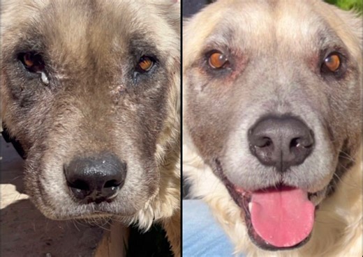 2K reactions · 184 shares | Sidewalk Specials will always try to...