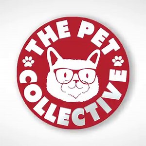 4.5M views · 182K reactions | These otters are adorable! | The Pet Collective | Facebook