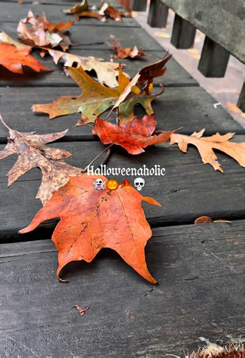 Halloweenaholic. 👻🕸️💀🎃🍁 • if there was an eternal holloween world id totally live in it 😂. • how can you not love Halloween. HALLOWEEN IS COOL!!! 🎃👻🎃👻 #halloween #octobermood #halloweenaestheic #halloween2026 #spookyaesthetic