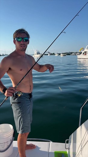 Catching and Cooling Squid 🦑 Living on our Boat! | Tula's Endless Summer