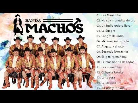 BANDA MACHOS 2026 - Sus Mejores Éxitos - Mix Más Sonado y Bailables (Lo Mejor)